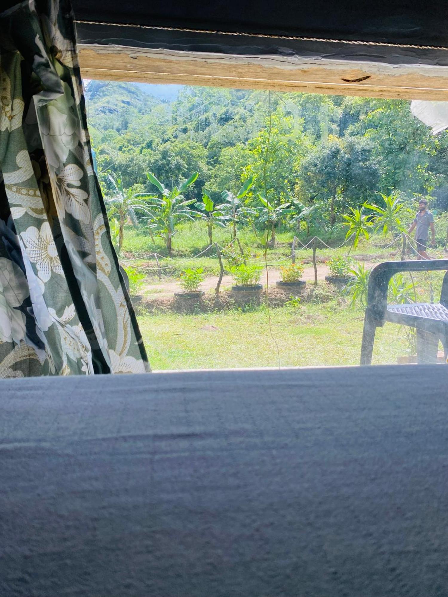 The Forest Edge Resort دامبولا المظهر الخارجي الصورة