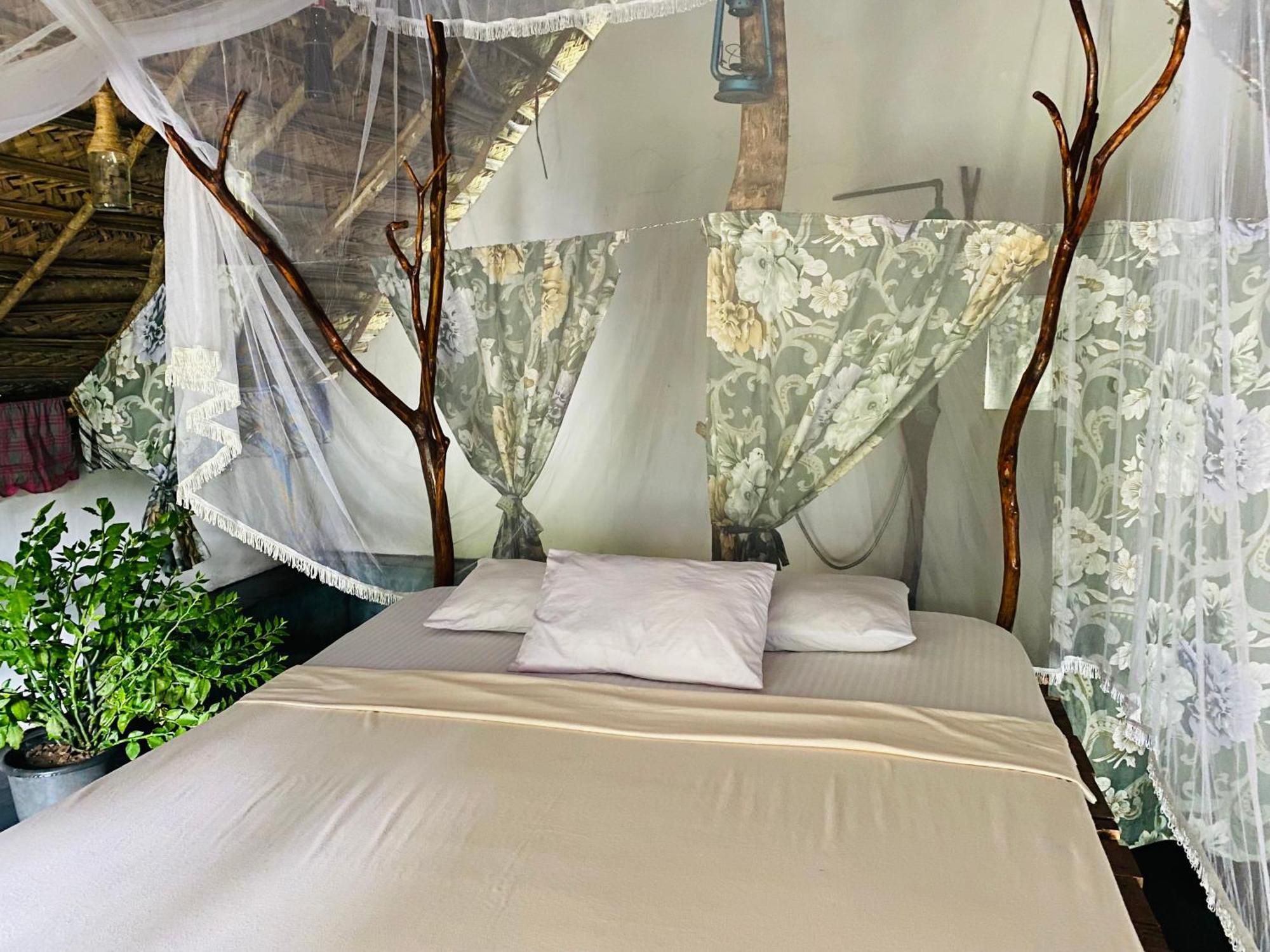 The Forest Edge Resort دامبولا المظهر الخارجي الصورة